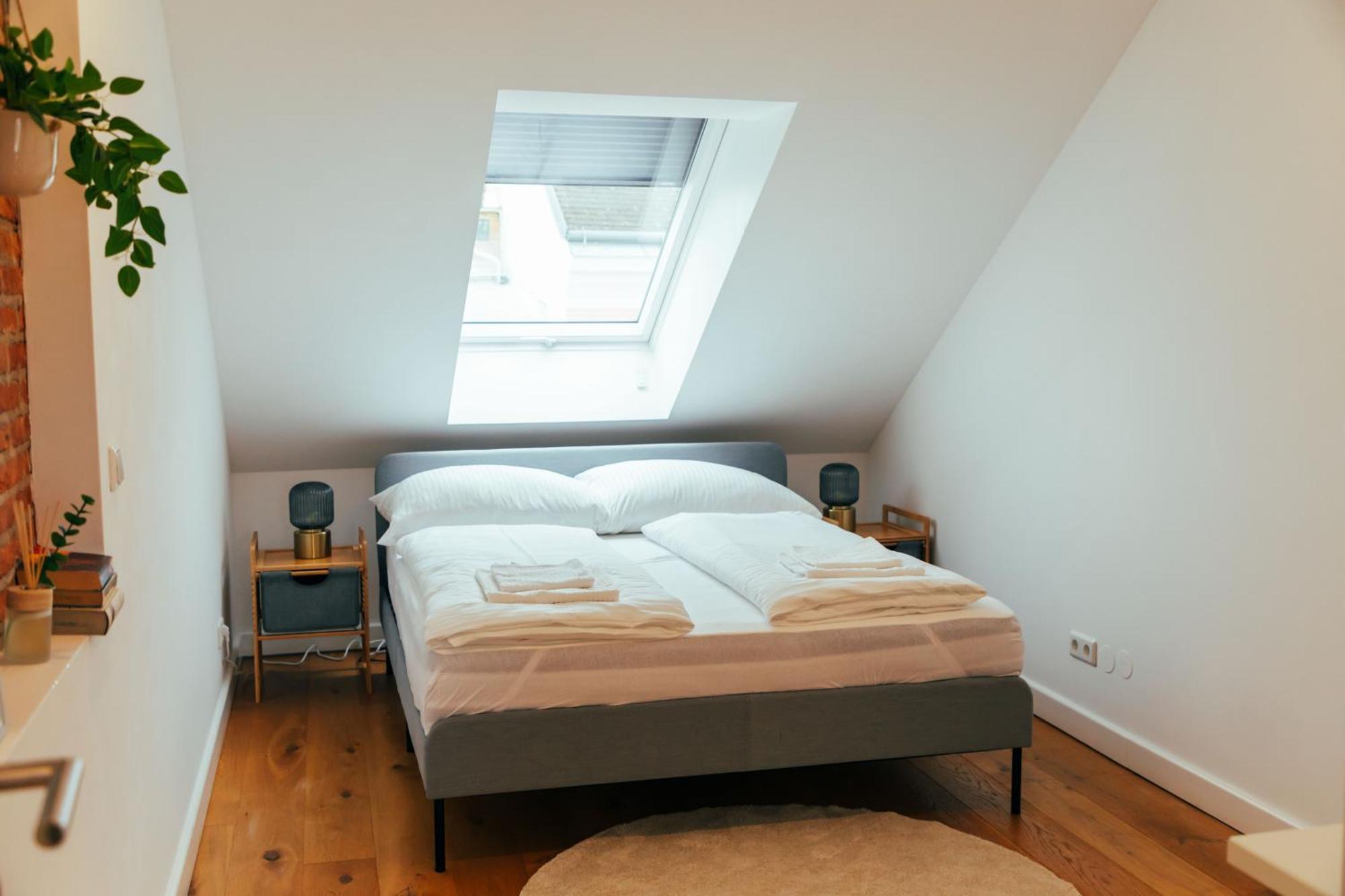 Large - Great For Groups - With Balcony Or Terrace * Viena